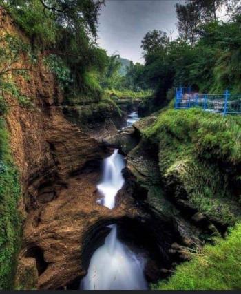 Davis Fall